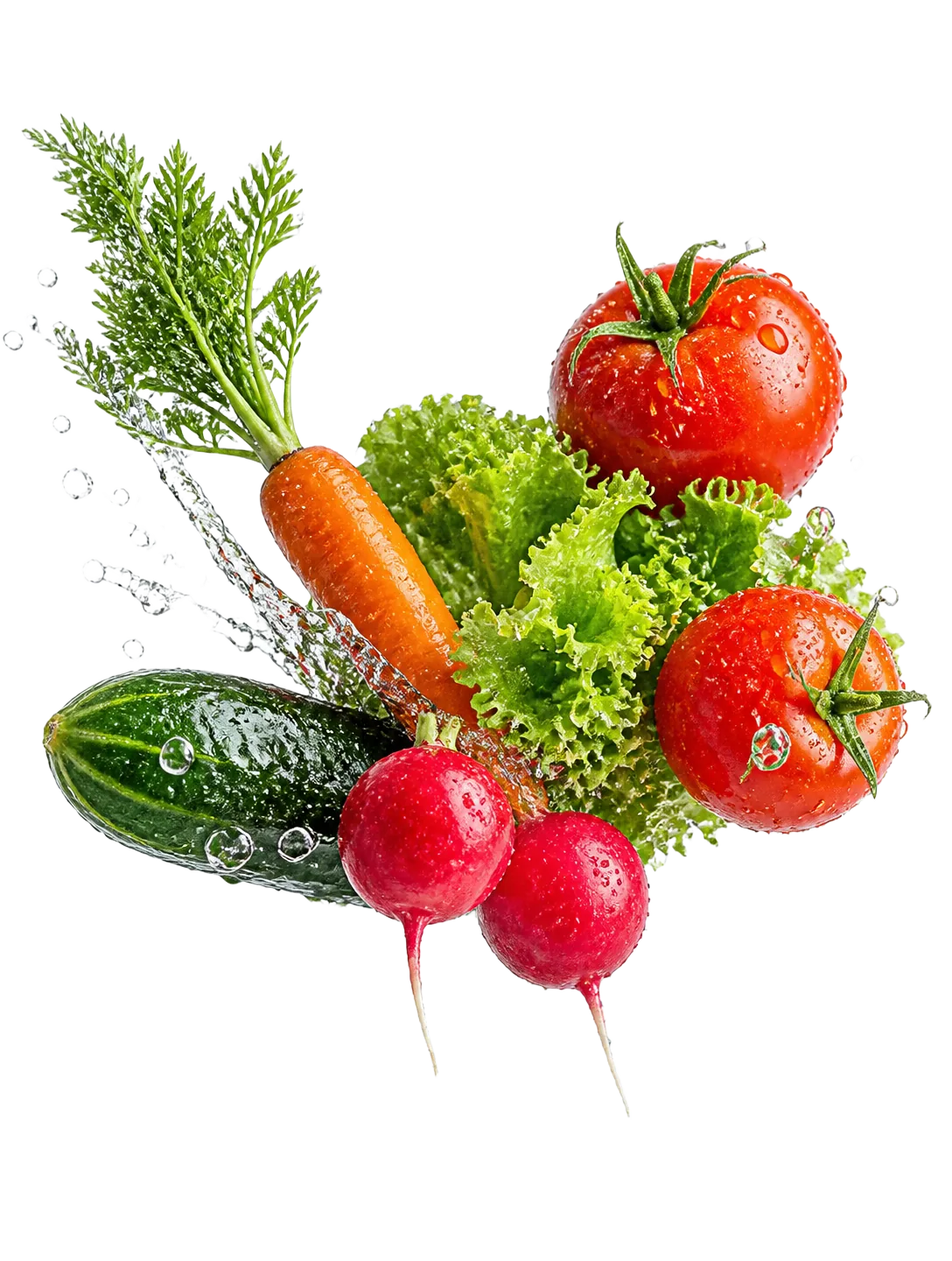 Frisches Gemüse aus dem Hofladen: Tomaten, Karotten, Gurke und Salat